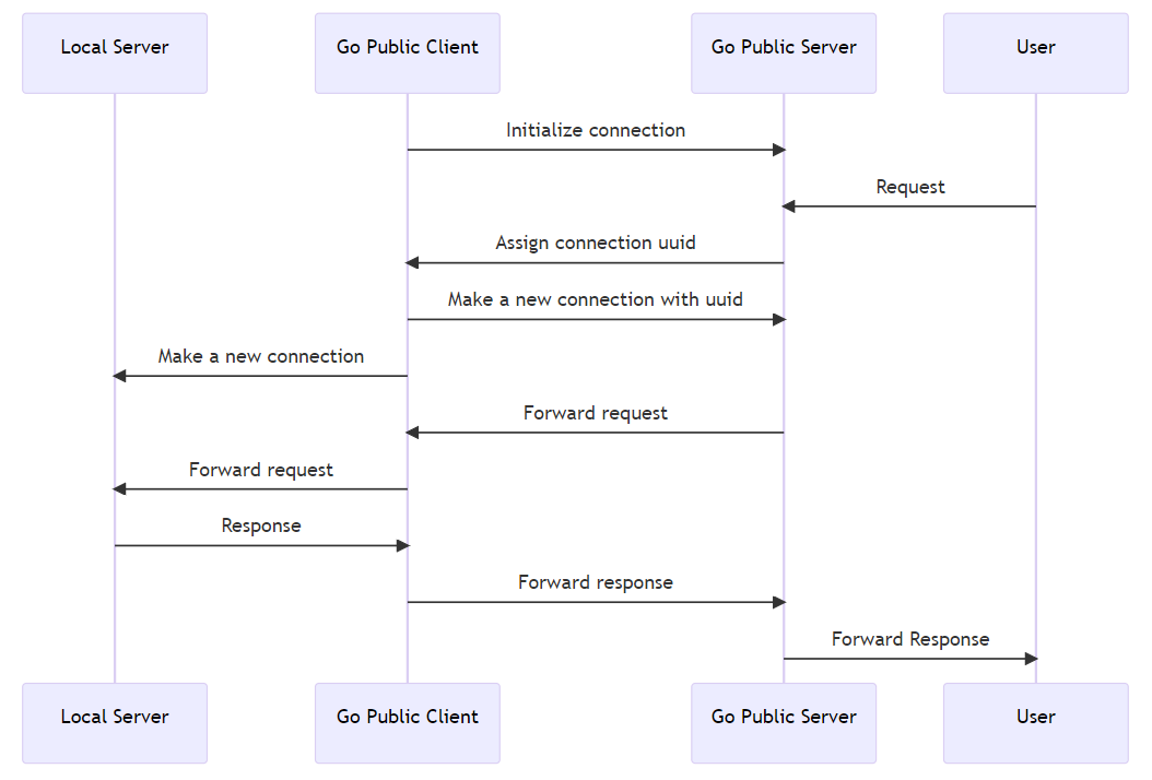 Go Public Flowchart